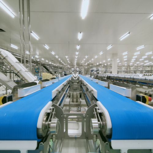 conveyor belting software